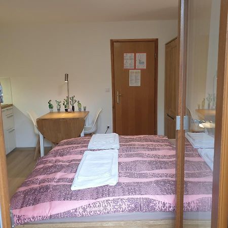 Apartmaji Pri Medvedu Studio Rudnica Bohinj Ngoại thất bức ảnh